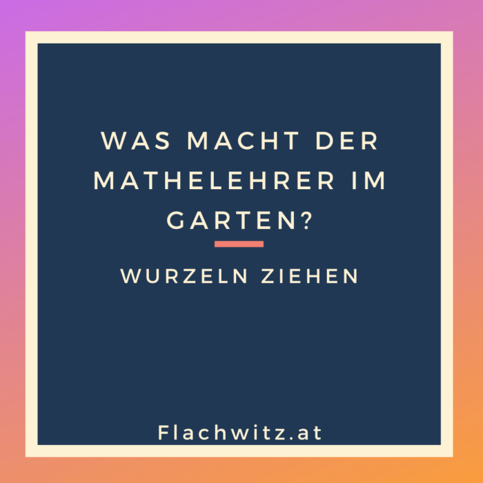 Flachwitz61