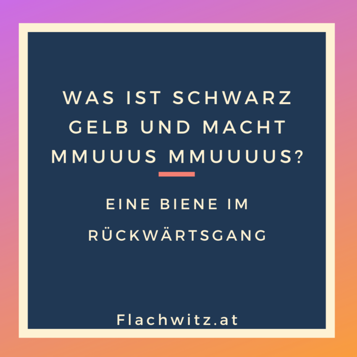 Flachwitz65