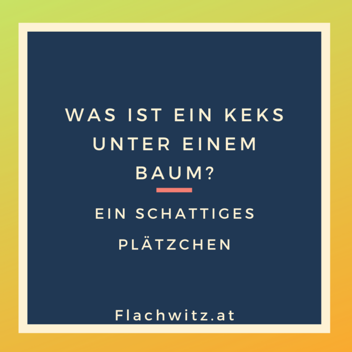 Flachwitz74