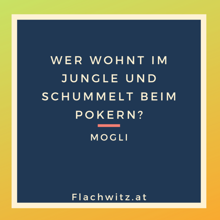 Flachwitz91