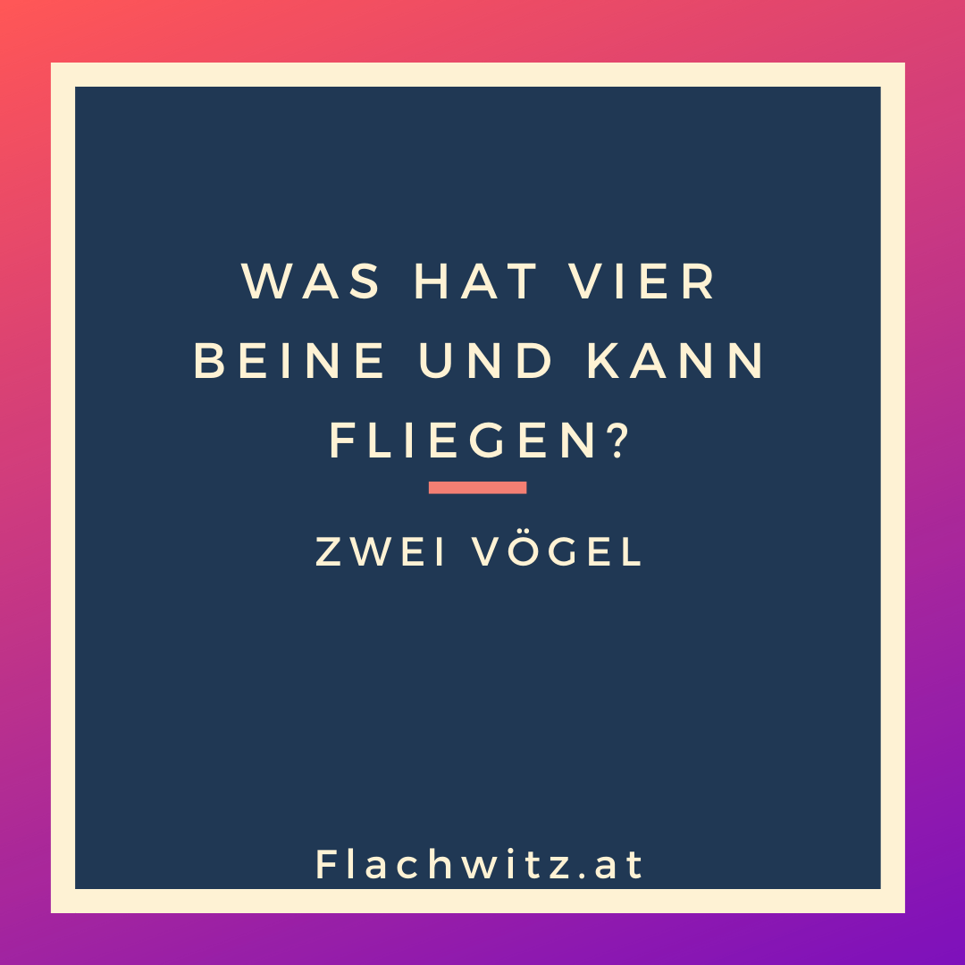 Was Hat Vier Beine Und Kann Fliegen Was Hat Vier Beine Und Kann Fliegen