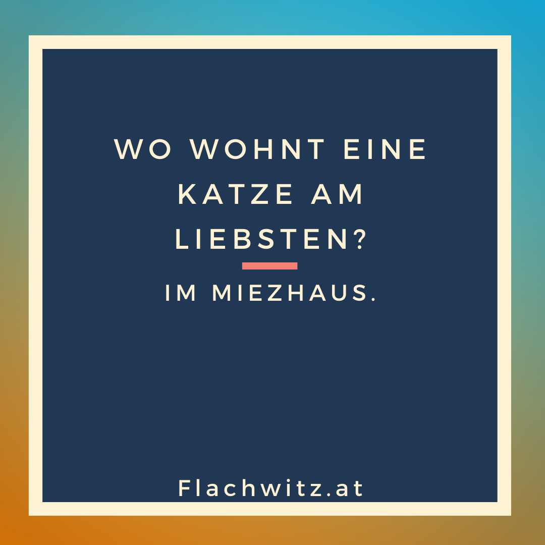 Wo Lebt Die Katze Wo Lebt Die Katze