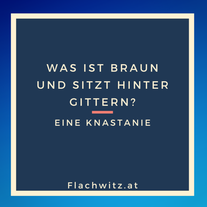 Flachwitz53