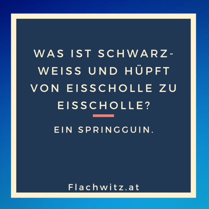 Flachwitz61