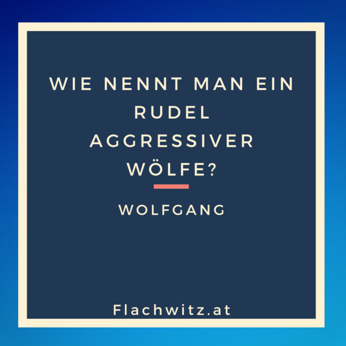 Flachwitz65