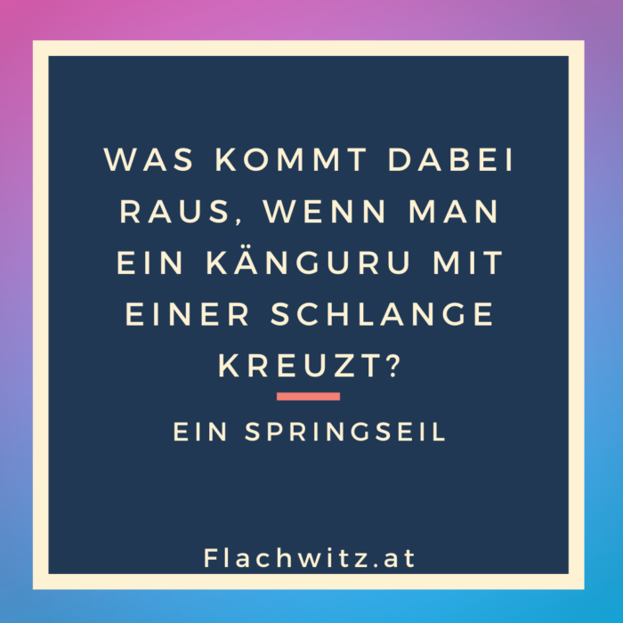 Flachwitz29