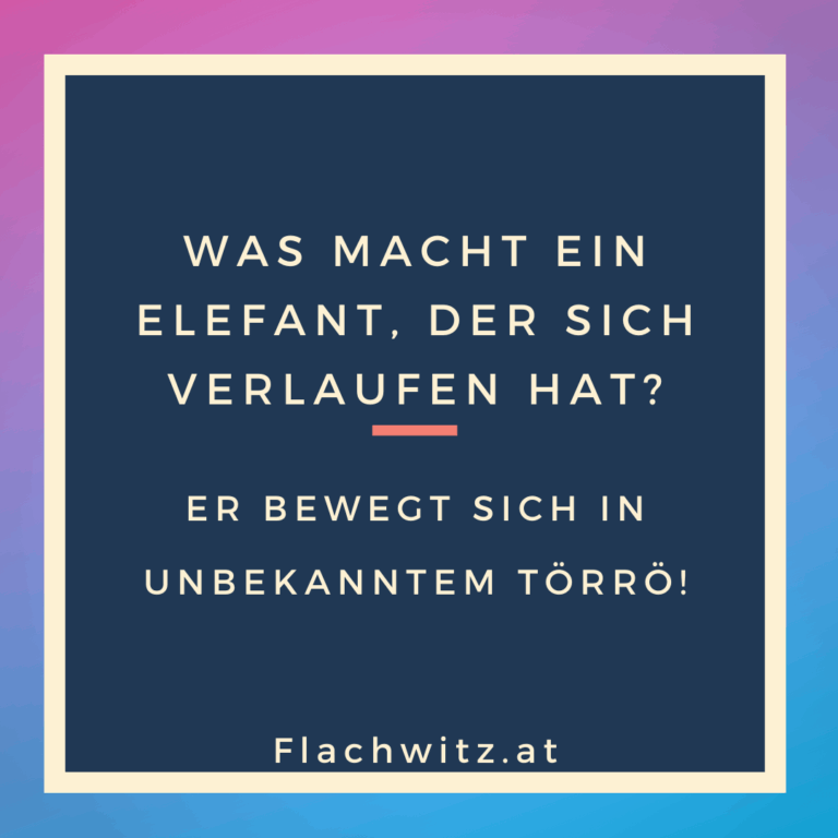 Was macht ein Elefant, der sich verlaufen hat? - Flachwitz.at Die