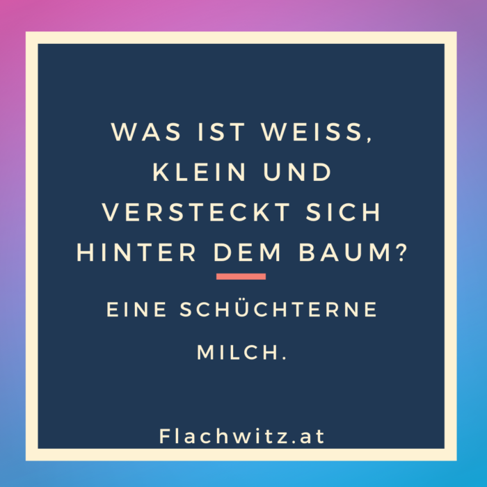 Flachwitz40