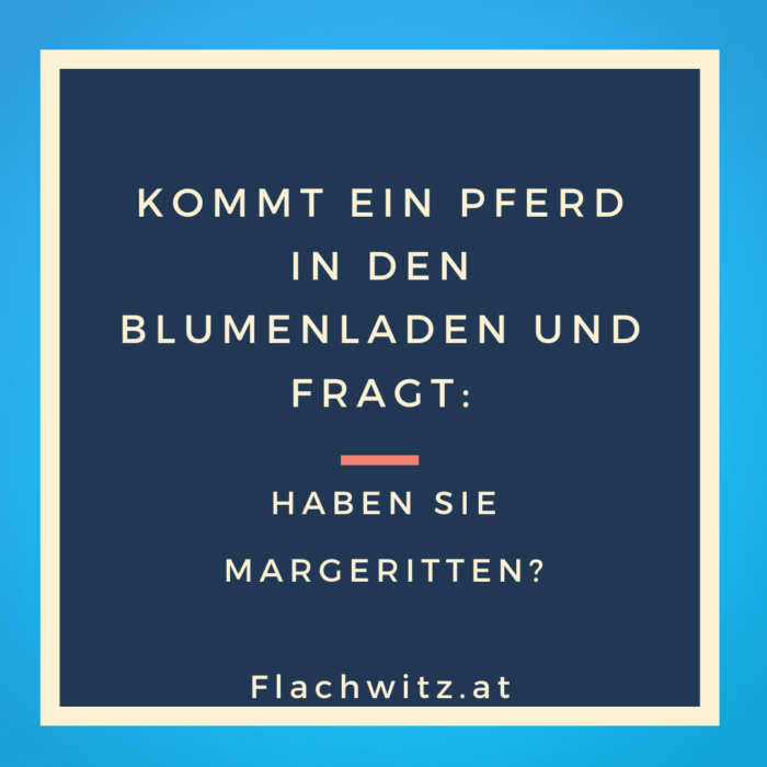 Flachwitz10