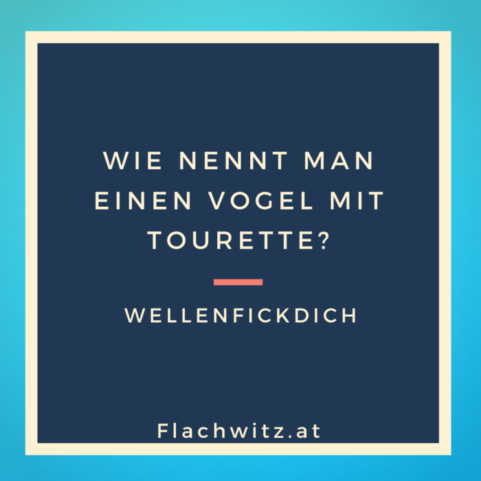 Flachwitz5