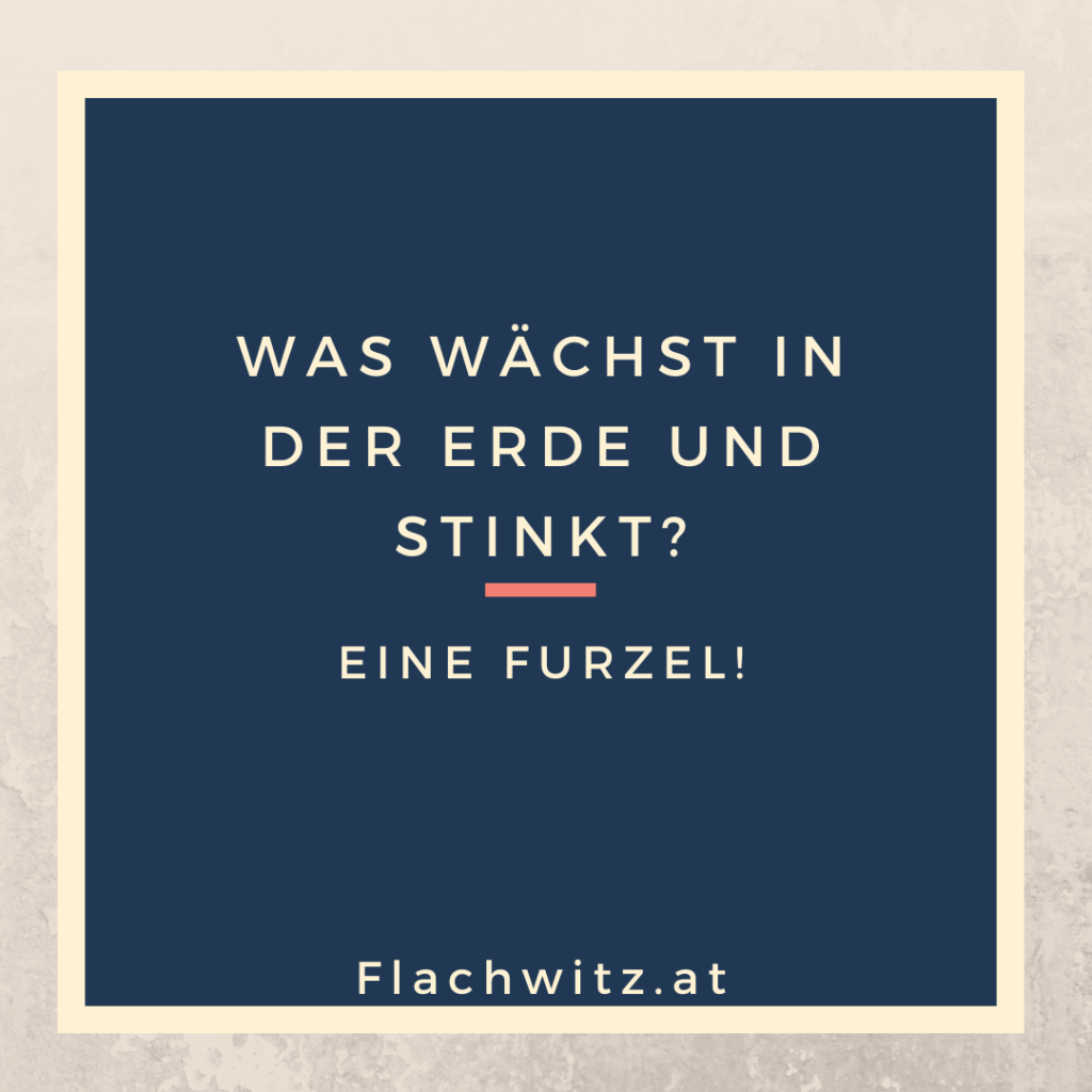 Flachwitz112