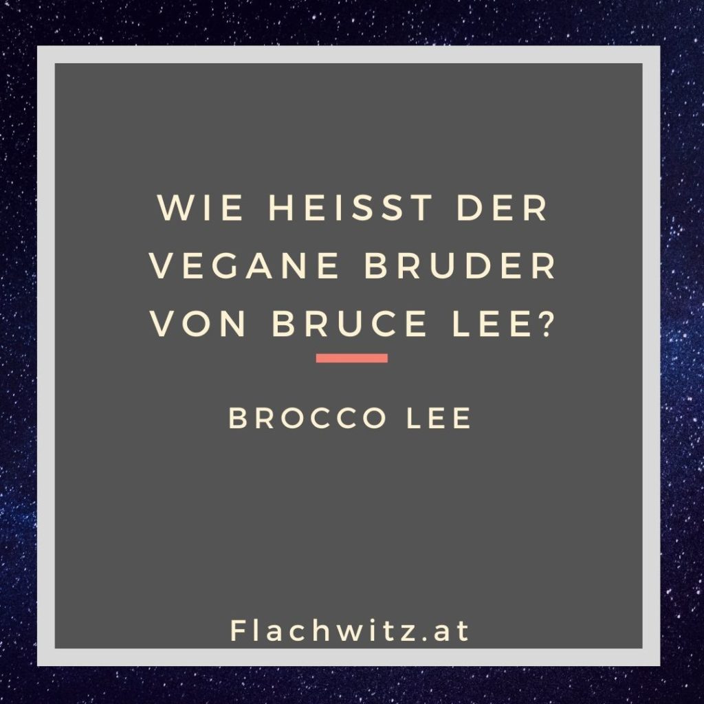 Flachwitz1