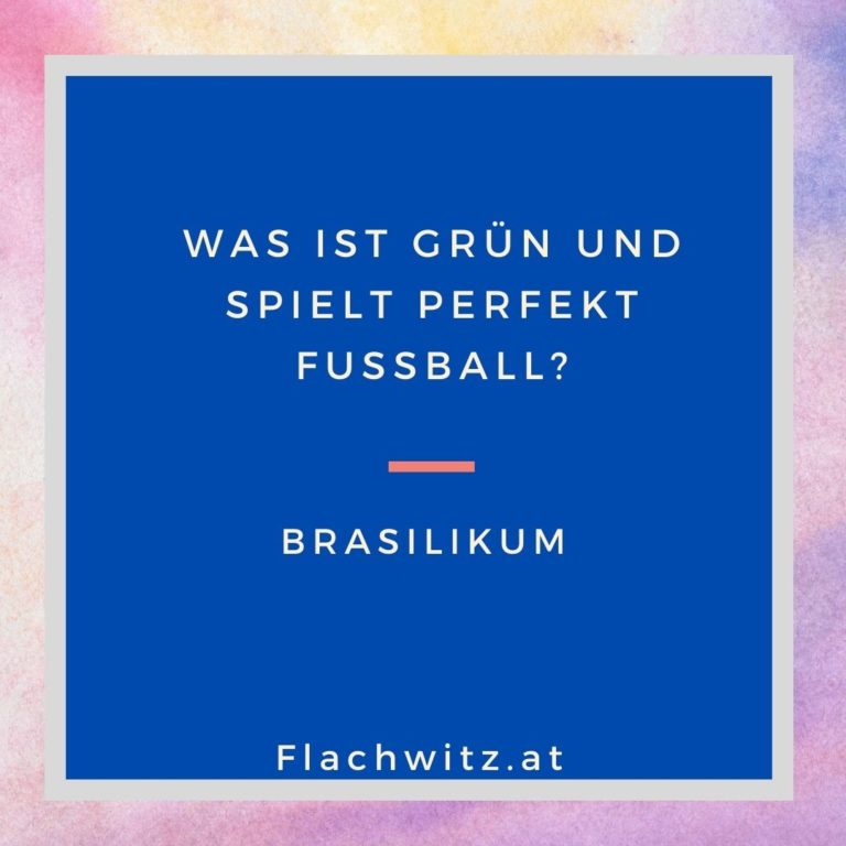 Flachwitz 6