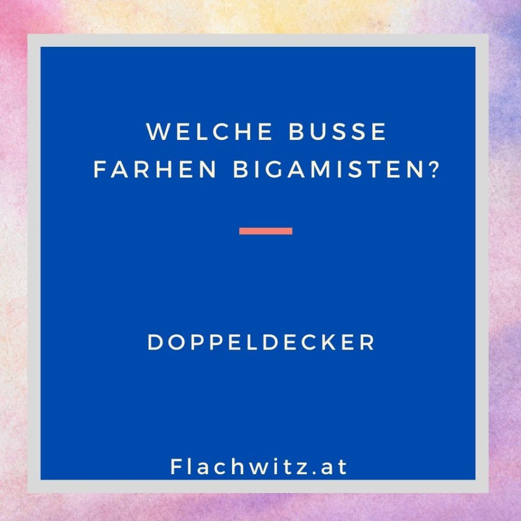 Flachwitz 2